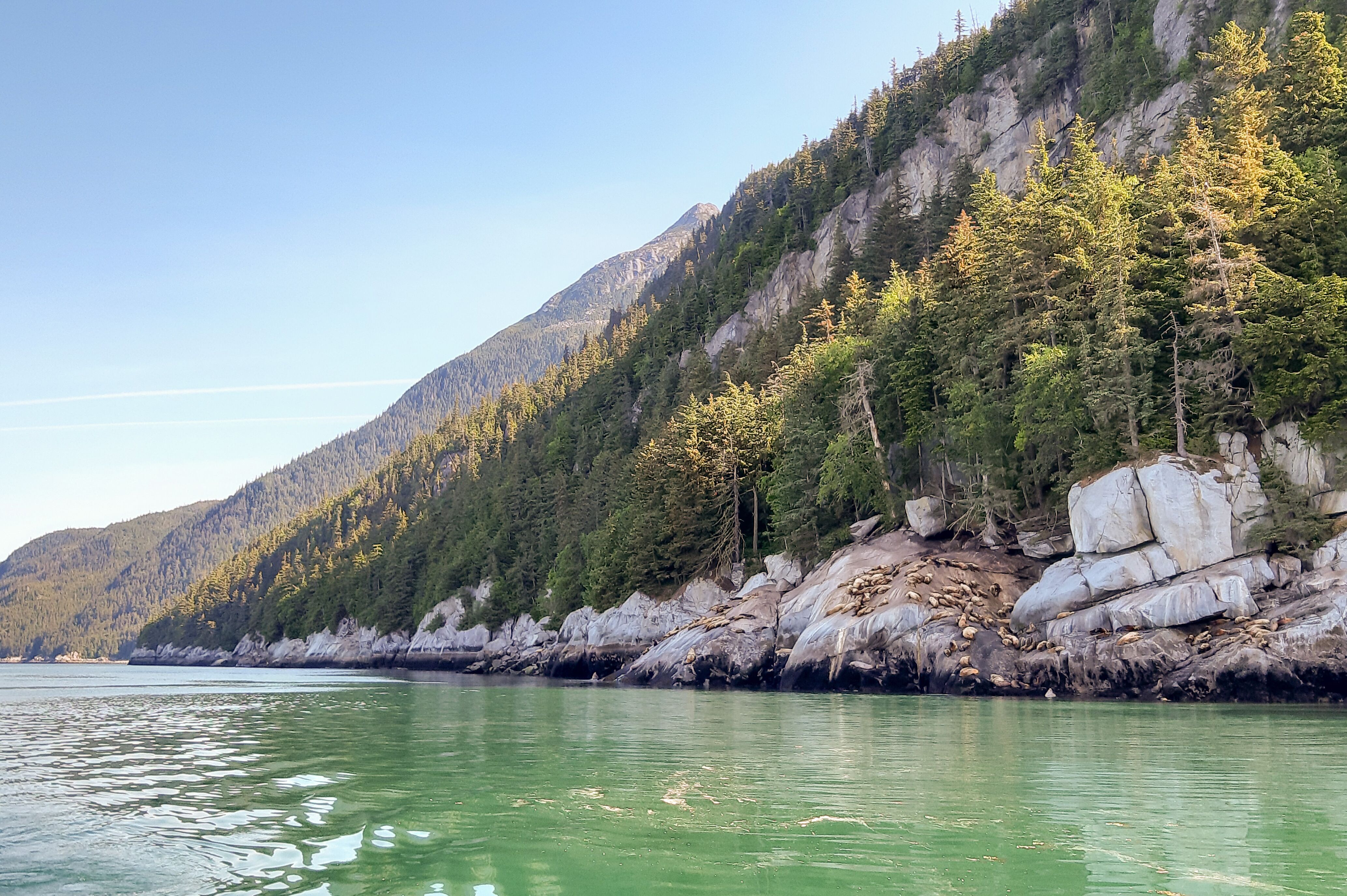An Bord der Fjord Express mit Blick auf ein paar schlafende SeelÃ¶wen